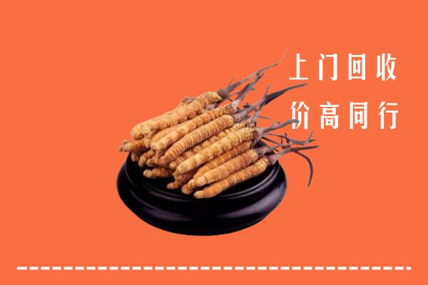 高价求购：景东县回收散虫草