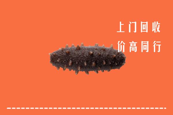 高价求购：景东县回收海参