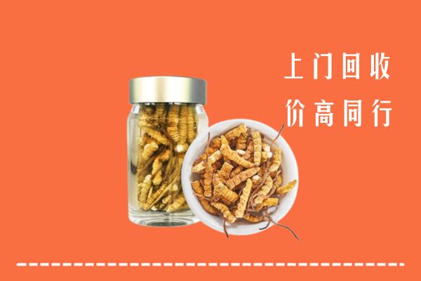 景东县回收冬虫夏草