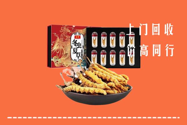 景东县回收虫草
